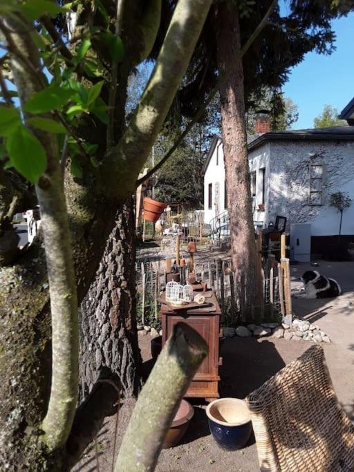 Ferienhaus Mit Minibauernhof Villa Munster im Heidekreis Luaran gambar