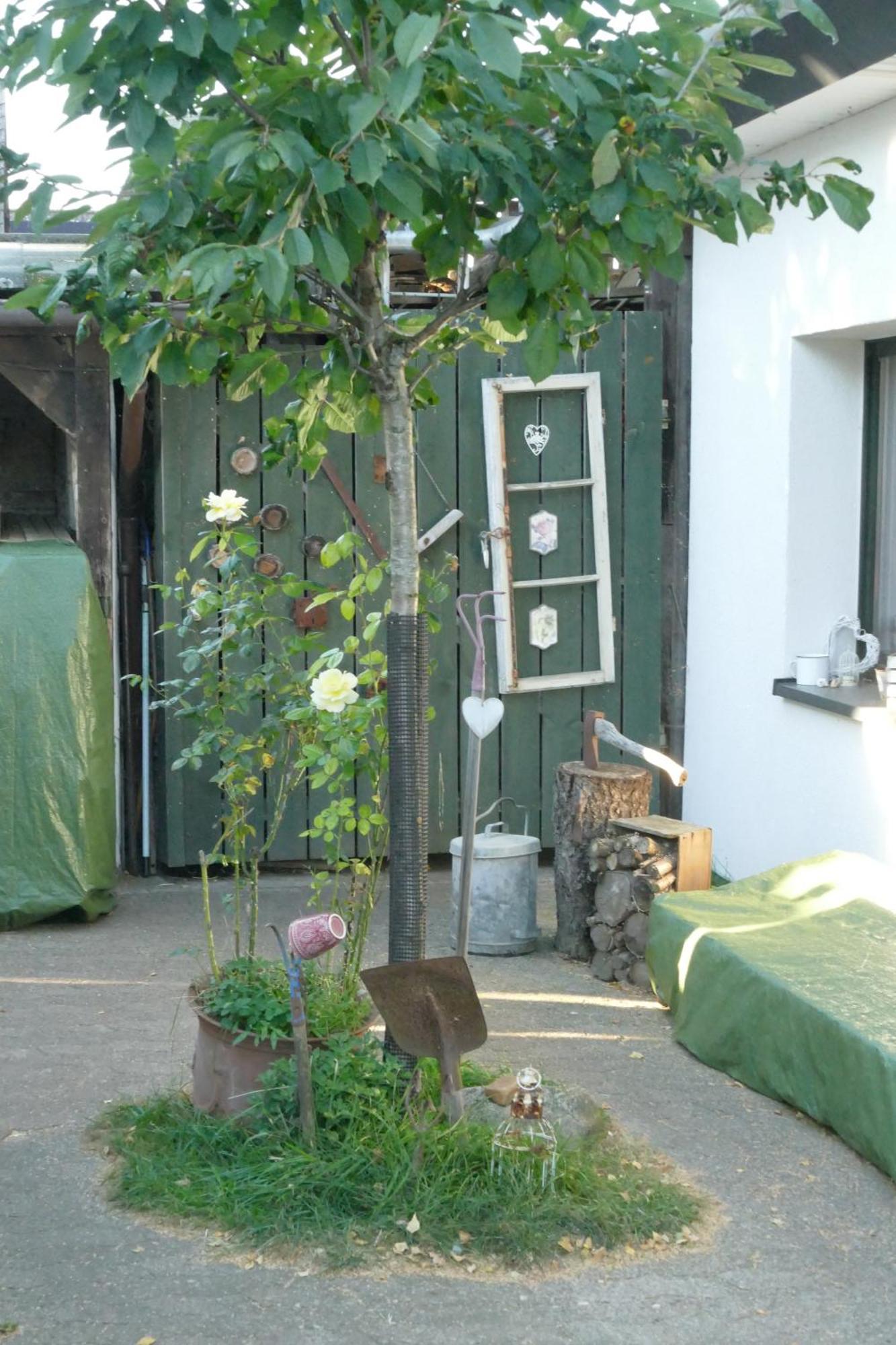 Ferienhaus Mit Minibauernhof Munster im Heidekreis Luaran gambar