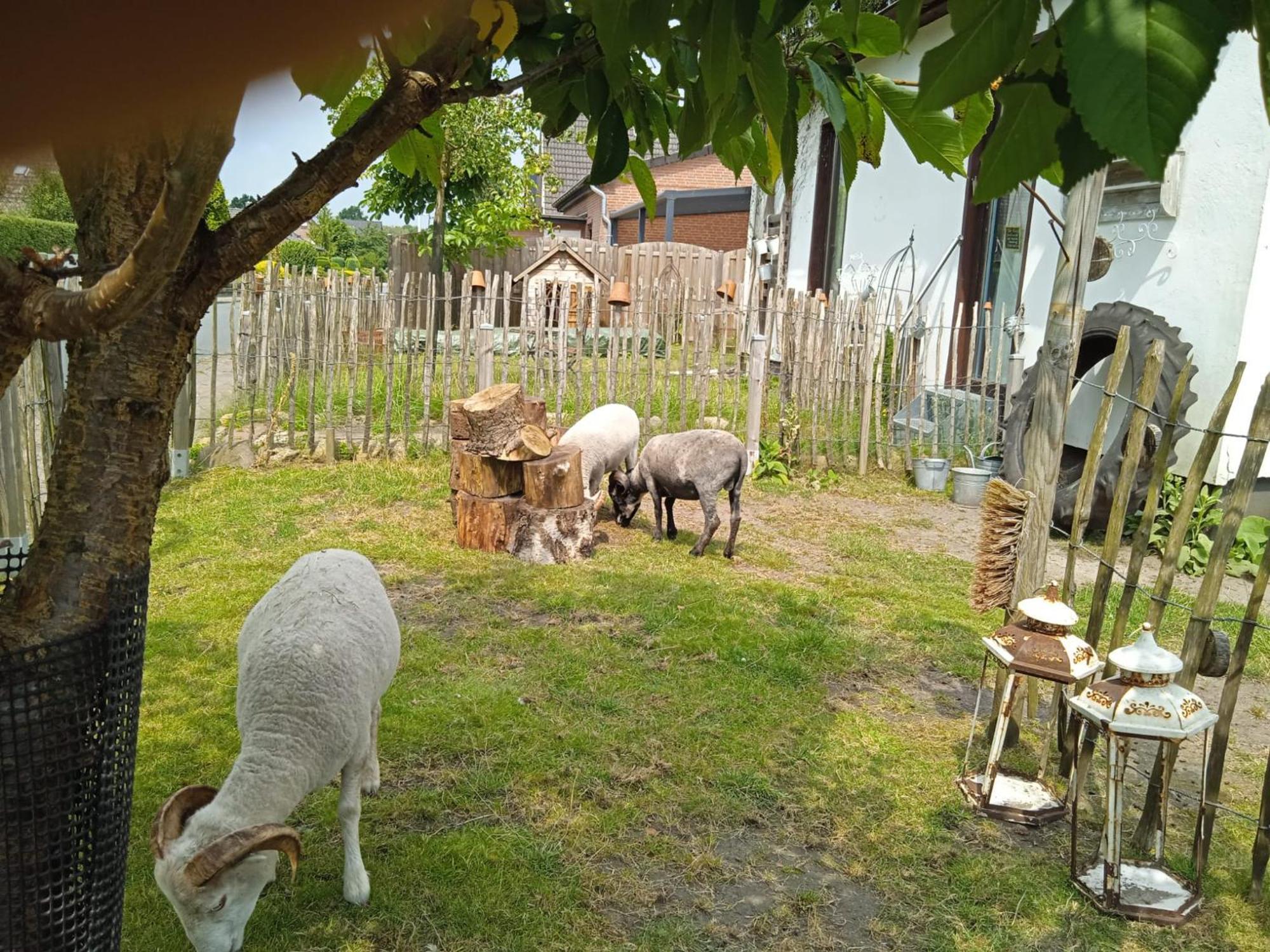Ferienhaus Mit Minibauernhof Munster im Heidekreis Luaran gambar